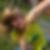 Profilbild von Annika Fromme