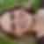 Profilbild von Kerstin Gauer