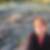 Profilbild von Susanne Glaser