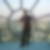 Profilbild von Holger Limp