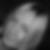 Profilbild von Julia Meyer