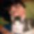 Profilbild von Christina Landrock