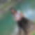 Profilbild von Mandy Trilling