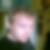 Profilbild von Markus Bode
