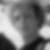Profilbild von Sebastian Reuß