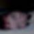 Profilbild von Lucy Lasser