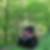 Profilbild von Andre Post