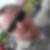 Profilbild von Guido Preiss