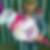 Profilbild von Milena Gerhold
