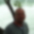 Profilbild von Markus Gräbener