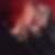 Profilbild von Mary Zocher