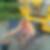 Profilbild von Siegfried Prox
