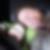 Profilbild von Benjamin Bernhard