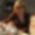 Profilbild von Anne Fischer