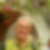Profilbild von Wilfried Giessler