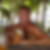 Profilbild von Peter Rix