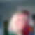 Profilbild von Michaela Wolfsturm