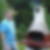Profilbild von Holger Hein