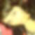 Profilbild von Jeanne Greif