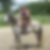 Profilbild von Sabine Forstner