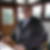 Profilbild von Ralf Schuster
