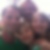 Profilbild von Thomas Jackwerth