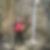 Profilbild von Peter Heid