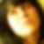 Profilbild von Jeannette Schneider