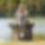 Profilbild von Johanna Ruppert 