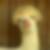 Profilbild von Andrea Nimz