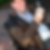 Profilbild von Elmar August Bernhard Möllenbeck