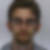 Profilbild von Peter Trauflo