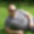 Profilbild von Martin Reichel