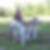 Profilbild von Kirsten Rowlin