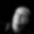 Profilbild von Rainer Gehrisch