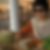 Profilbild von Margarete Nawgiri