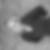 Profilbild von Marie Passon