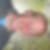 Profilbild von Micha Ohser