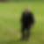 Profilbild von Erich Acker