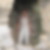 Profilbild von Karin Wilpert