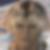 Profilbild von Hans Bach