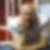 Profilbild von Oliver Fritzsche