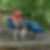 Profilbild von Kai Bordemann