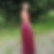 Profilbild von Anke Liman
