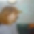 Profilbild von Sabine Franz