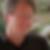Profilbild von Robert Hofmann Dr.