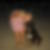 Profilbild von Maike Weger