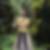 Profilbild von Rene' Wirsing