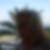 Profilbild von Ines Horn