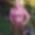 Profilbild von Thomas Korb
